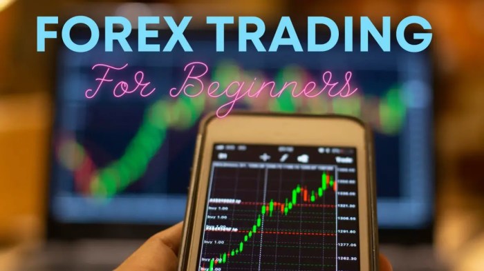 Forex trading beginners start strategy beginner step guide first make get guides
