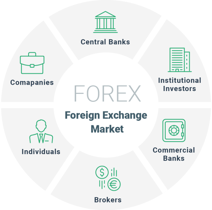 Forex trading market introduction basic money