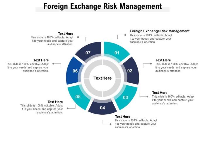 Exchange risk management transaction